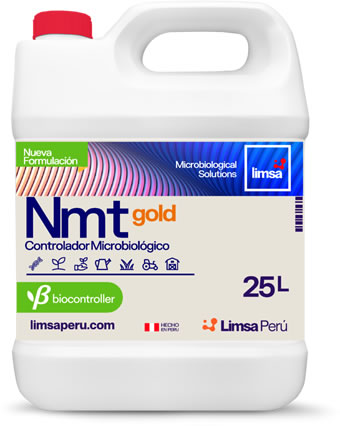 NMT